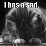 sad-cat
