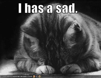 sad-cat.jpeg#sad%20cat%20400x311