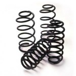 springs-ast