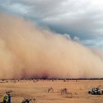 sand storm_n