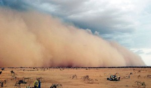 sand storm_n