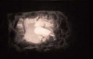 LP-TBcutpillow_cut-w